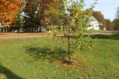 16 Pleasant Street, Patten, ME 04765 - Photo 22