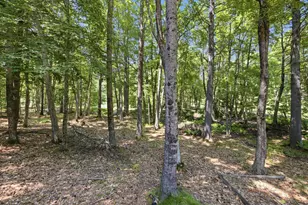 210 Fairview Dr, Waterboro, ME 04061 - Photo 46