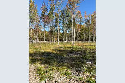 630 Youngs Ridge Road Lot #3, Acton, ME 04001 - Photo 6