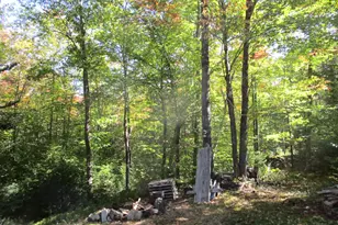 529 Redding Rd, Sumner, ME 04292 - Photo 16