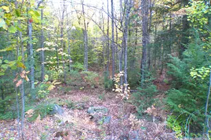 529 Redding Rd, Sumner, ME 04292 - Photo 22
