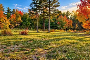 241 Baker Brook Rd, Bradley, ME 04411 - Photo 74