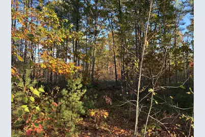 Lot 16 (2) Whittier Road, Farmington, ME 04938 - Photo 6