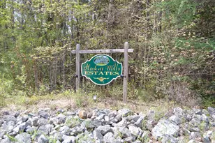 0 Echo Valley Dr, Poland, ME 04274 - Photo 1