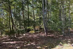 36 Mountain View Dr, Acton, ME 04001 - Photo 52