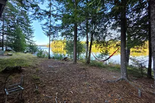 Lot 3 East Shore Rd, Lakeville, ME 04487 - Photo 40