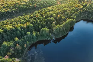 Lot 3 East Shore Rd, Lakeville, ME 04487 - Photo 4