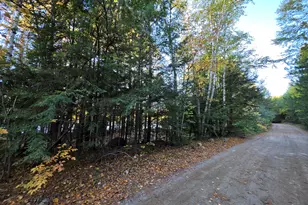 Lot 3 East Shore Rd, Lakeville, ME 04487 - Photo 52