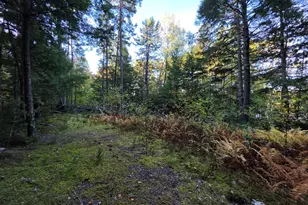 Lot 3 East Shore Rd, Lakeville, ME 04487 - Photo 58