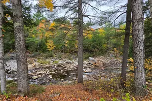 1588 Roxbury Rd, Roxbury, ME 04275 - Photo 22