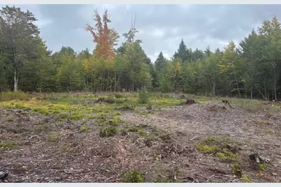 Lot #2 Branch View, Alfred, ME 04002 - Photo 4