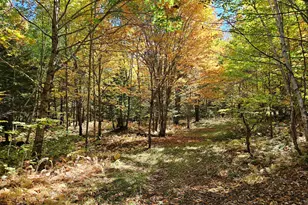 971 Anson Rd, Starks, ME 04911 - Photo 44