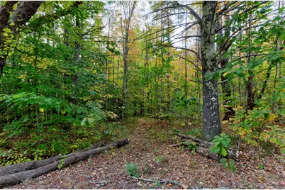 45-28 Fairview Avenue, Gray, ME 04039 - Photo 1