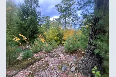 Lot 41 Turtle Trail, Alfred, ME 04002 - Photo 2