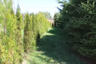 759 Brooks Rd, Knox, ME 04986 - Photo 20