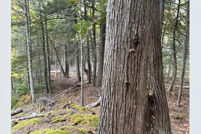 M3L27 Savery Road, Searsport, ME 04974 - Photo 14