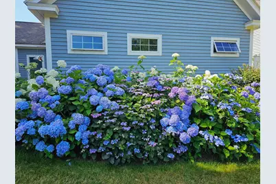 10 Eastward #10, Rockport, ME 04856 - Photo 46