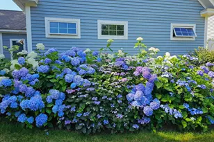 10 Eastward, Rockport, ME 04856 - Photo 46