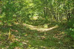 Lot 9 Pequawket Trail, Standish, ME 04084 - Photo 1