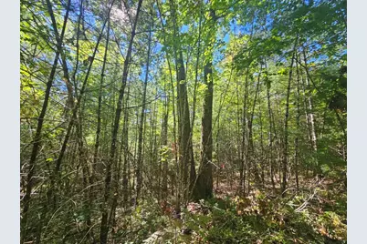 Lot 9 Pequawket Trail, Standish, ME 04084 - Photo 22