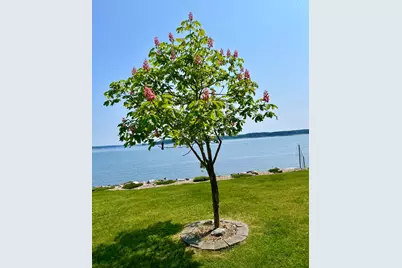 463 Seawall Road, Southwest Harbor, ME 04679 - Photo 80