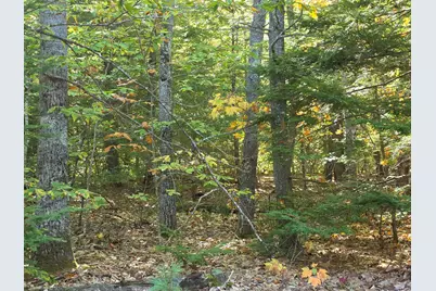 36 Standish Neck Road, Gorham, ME 04038 - Photo 4
