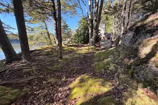 67 Branch Rd, Phippsburg, ME 04562 - Photo 10