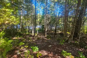 264 Taylor St, Lincoln, ME 04457 - Photo 26