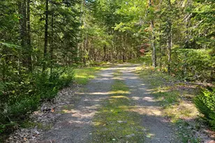 264 Taylor St, Lincoln, ME 04457 - Photo 32
