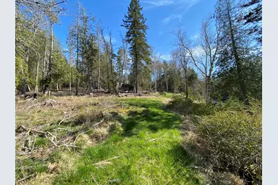 20-15 Main Road Road, Islesboro, ME 04848 - Photo 18