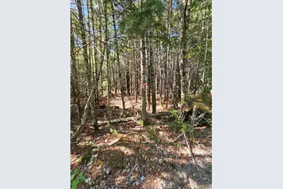 M3, L9 Off Eastern Ridge Road, Northfield, ME 04654 - Photo 8