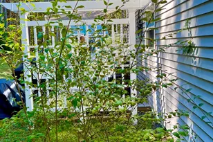 7 Driftwood Wy, Mount Desert, ME 04660 - Photo 48