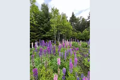 1030 Sunshine Road, Deer Isle, ME 04627 - Photo 24