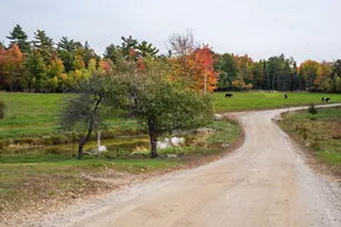 118 Ackley Farm Rd, Blue Hill, ME 04614 - Photo 42