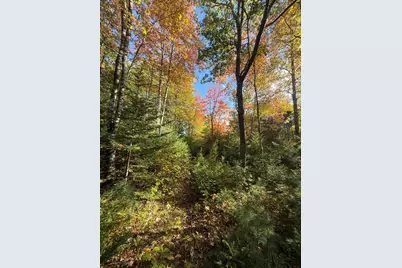 11&15 Bagaduce Lane, Sedgwick, ME 04676 - Photo 8