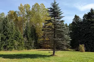 40 Moose Ridge Rd, Mapleton, ME 04757 - Photo 34