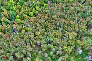 Lot 6 Brewer Rd, Cary, ME 04471 - Photo 26
