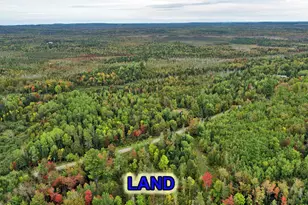 Lot 6 Brewer Rd, Cary, ME 04471 - Photo 10