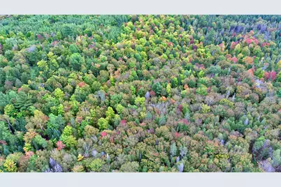 Lot 6 Brewer Road, Cary, ME 04471 - Photo 16