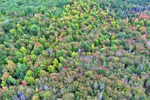 Lot 6 Brewer Rd, Cary, ME 04471 - Photo 16