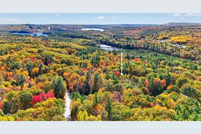 40 Sawyer Road, Poland, ME 04274 - Photo 70