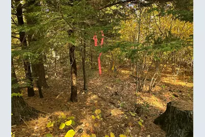 4Acres Deering Ridge Road, Waterboro, ME 04087 - Photo 1
