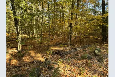 4Acres Deering Ridge Road, Waterboro, ME 04087 - Photo 2