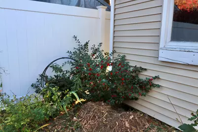 64 Regan Lane, Portland, ME 04103 - Photo 60