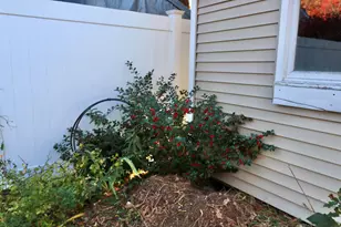 64 Regan Ln, Portland, ME 04103 - Photo 60
