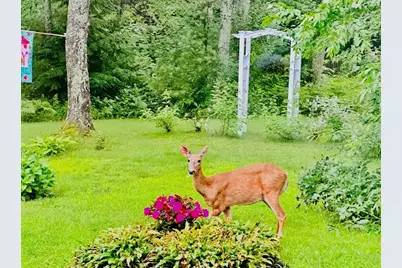 3 Tranquil Lane, Lisbon, ME 04252 - Photo 52