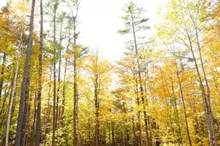 40 Hawk Mountain Rd, Waterford, ME 04088 - Photo 32