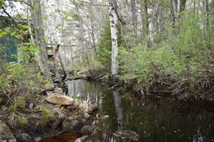 235 Bates St, Millinocket, ME 04462 - Photo 52