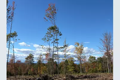 0 Edes Falls Road, Harrison, ME 04040 - Photo 10