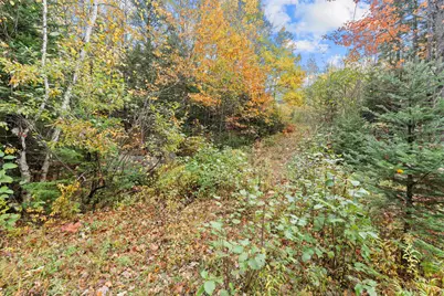 Lot #41-02 Forest Brook Drive, Abbot, ME 04406 - Photo 2
